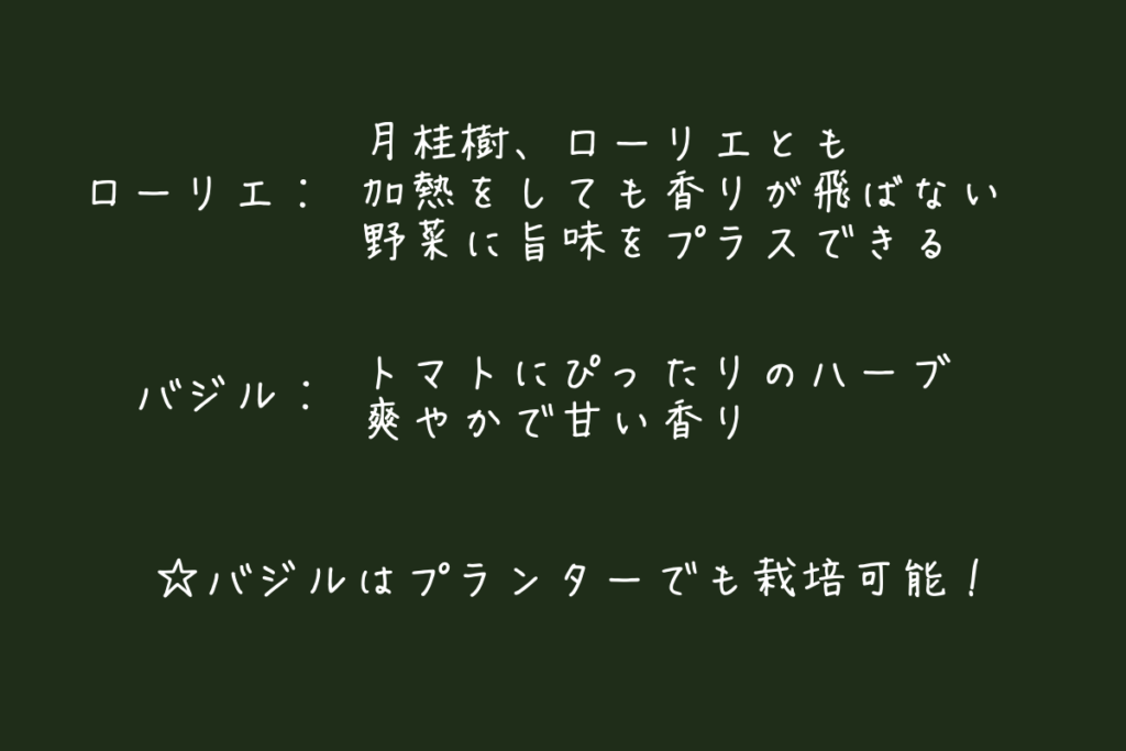 【ゼロから始めるパスタ講座】vol.3<br>基本のトマトソース