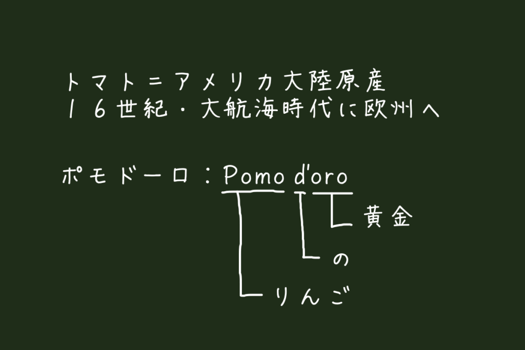 【ゼロから始めるパスタ講座】vol.3<br>基本のトマトソース